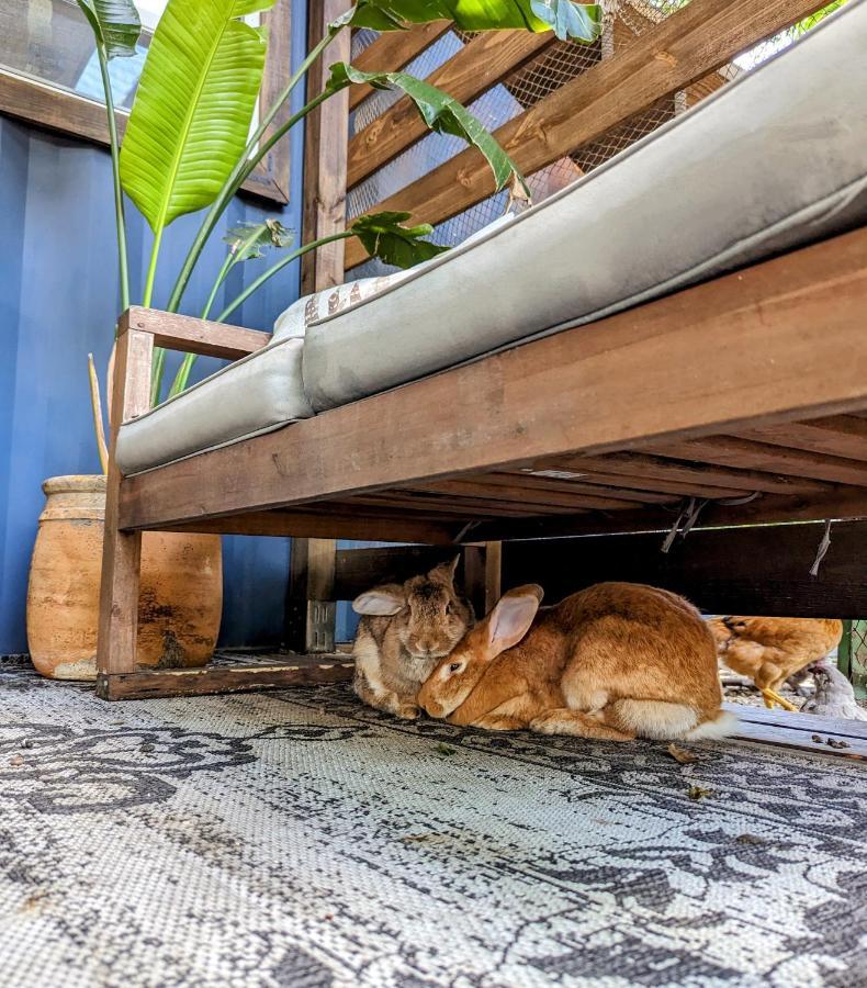 Vila Cozy Af Tiny-House Oasis Tampa Exteriér fotografie
