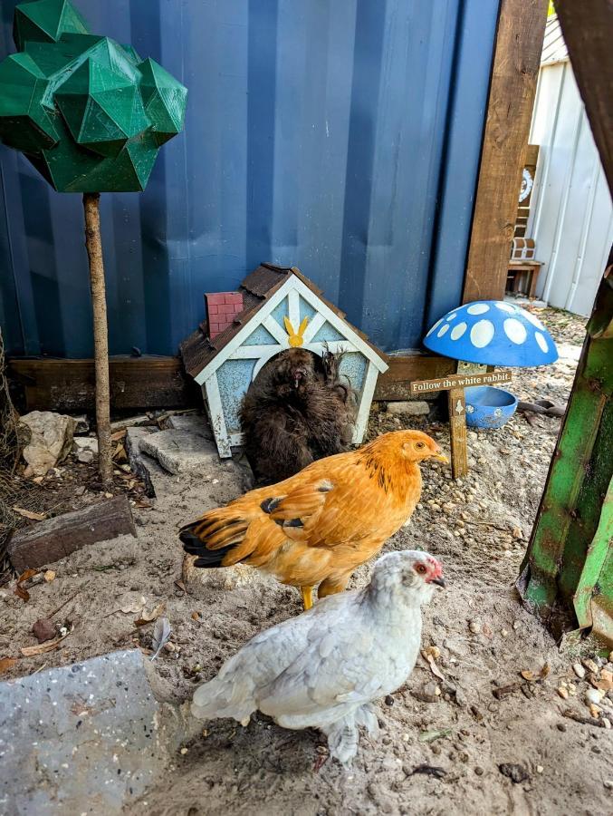 Vila Cozy Af Tiny-House Oasis Tampa Exteriér fotografie
