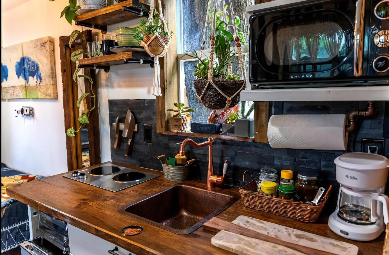 Vila Cozy Af Tiny-House Oasis Tampa Exteriér fotografie