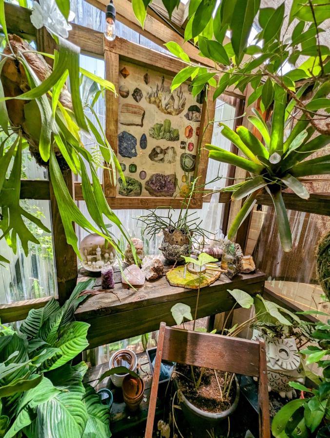 Vila Cozy Af Tiny-House Oasis Tampa Exteriér fotografie
