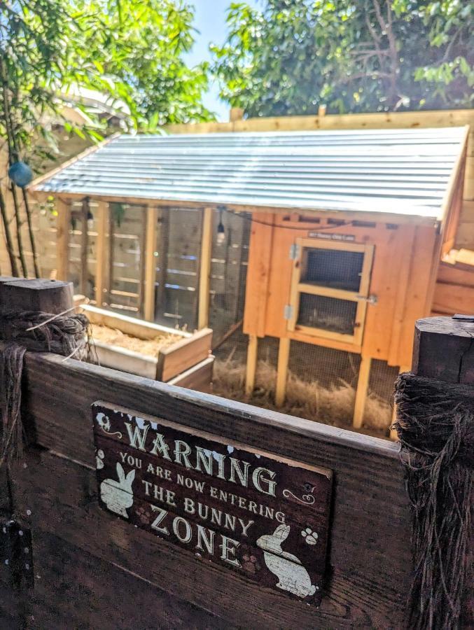 Vila Cozy Af Tiny-House Oasis Tampa Exteriér fotografie