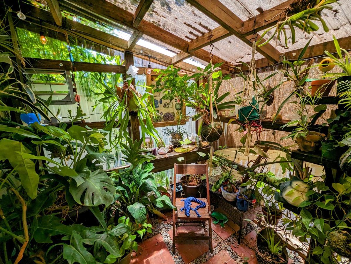 Vila Cozy Af Tiny-House Oasis Tampa Exteriér fotografie